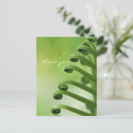 Natürliches, grünes, Curly Leaf Postkarte (Stehend Vorderseite)