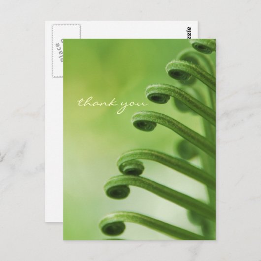 Natürliches, grünes, Curly Leaf Postkarte (Vorne/Hinten)