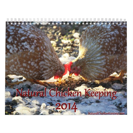 Natürliches Huhn, das Kalender 2014 behält + (Titelbild)