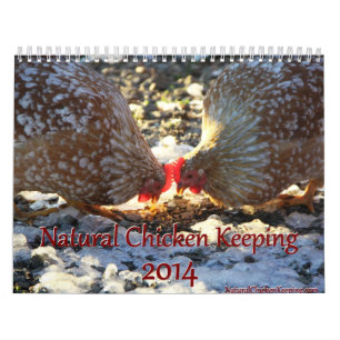 Natürliches Huhn, das Kalender 2014 behält +