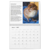 Natürliches Huhn, das Kalender 2014 behält + (Mär 2027)