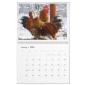 Natürliches Huhn, das 'Minimalistisches Kalender (Jan 2026)