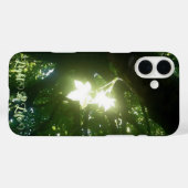 Natürliches Sonnenlicht durch Blätter auf Ahornbau Case-Mate iPhone Hülle (Rückseite (Horizontal))