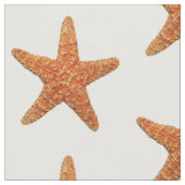 Natürliches Starfish-Foto-Gewebe Stoff (Nahaufnahme)