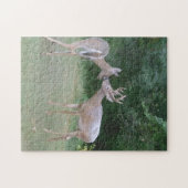 Naturliebhaber Puzzle (Horizontal)