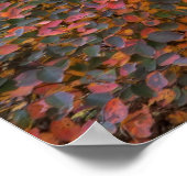 Naturmagie Poster (Ecke)