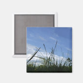 Naturmagnet Magnet (Vorderseite/Rückseite)