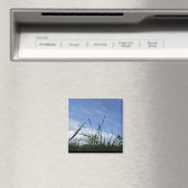Naturmagnet Magnet (In Situ (Geschirrspüler))