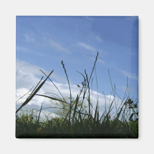 Naturmagnet Magnet (Vorne)