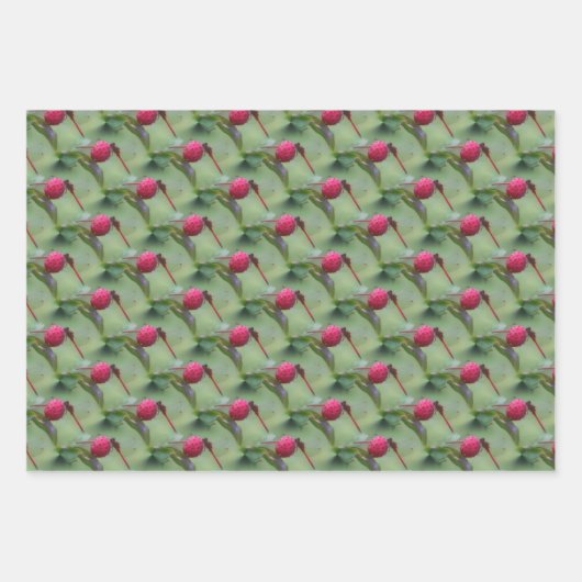 Naturmuster der Roten Dragonfly  Geschenkpapier Set (Vorderseite 3)