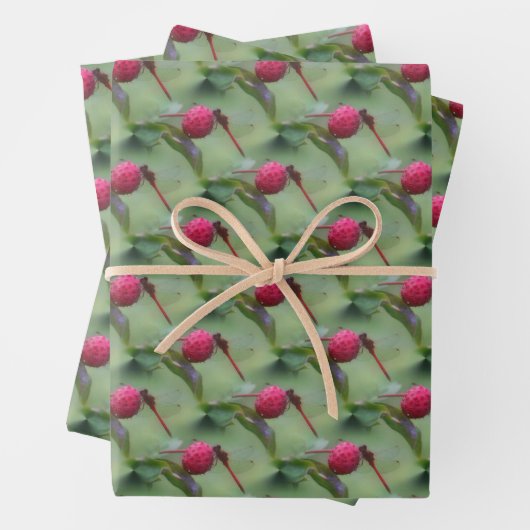 Naturmuster der Roten Dragonfly Geschenkpapier Set (Beispiel)