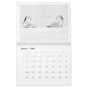 Naturperspektiven - 2026 Wandkalender