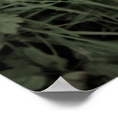 Naturplakat Poster (Ecke)