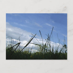 Naturpostkarte Postkarte