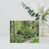 Naturpostkarte Postkarte (Stehend Vorderseite)