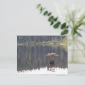 Naturpostkarte Postkarte (Stehend Vorderseite)