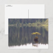 Naturpostkarte Postkarte (Vorne/Hinten)