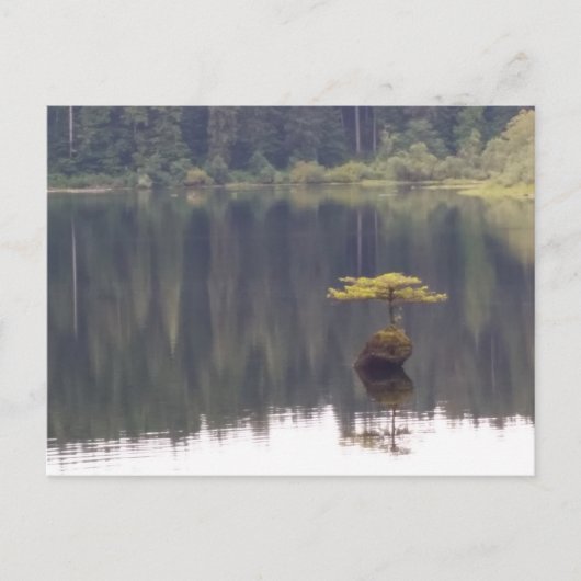 Naturpostkarte Postkarte (Vorderseite)