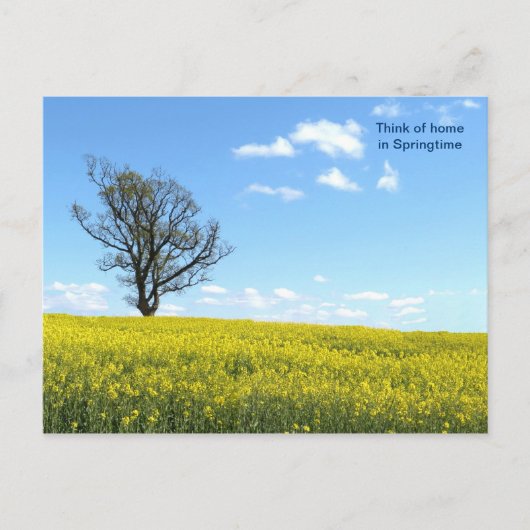 Naturpostkarte Postkarte (Vorderseite)