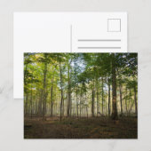 Naturpostkarten Bilder Postkarte (Vorne/Hinten)