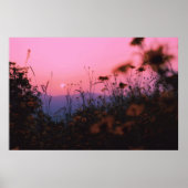 Naturrasen Poster (Vorne)