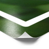 Naturrosa-Rose-Blume Fotodruck (Ecke)