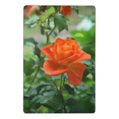 Naturrosa-Rose-Blume Mini Klemmbrett (Rückseite)