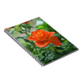 Naturrosa-Rose-Blume Notizblock (Rechte Seite)