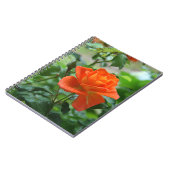 Naturrosa-Rose-Blume Notizblock (Linke Seite)