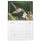 Naturs kleine Wunder - Kolibris Kalender (Jan 2027)