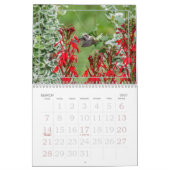 Naturs kleine Wunder - Kolibris Kalender (Mär 2027)