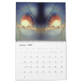 Naturschöne Spiegelungsfotografie Kalender (Jan 2027)