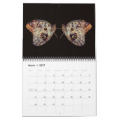 Naturschöne Spiegelungsfotografie Kalender (Mär 2027)