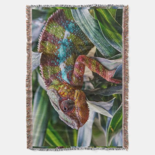 Naturschutz Decke (Vorderseite Vertikal)