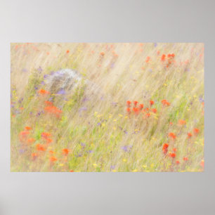 Naturschutz  San Juan Islands, WA Poster