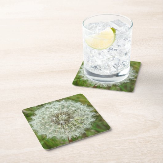 Naturschutz-Untersetzer Rechteckiger Pappuntersetzer (Vor Ort)