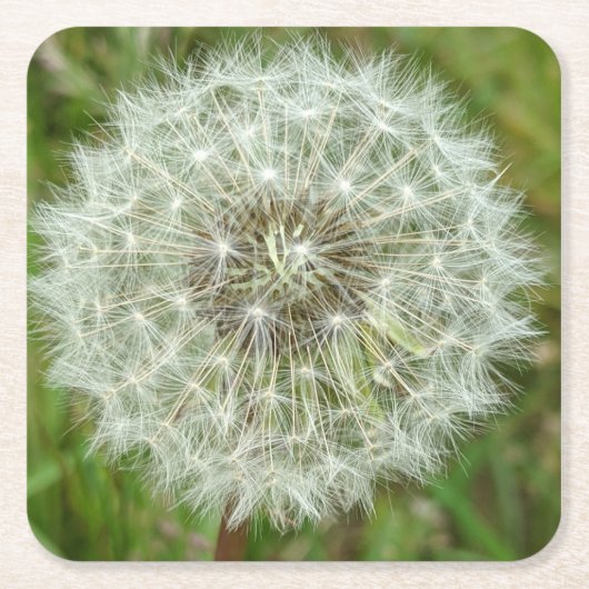 Naturschutz-Untersetzer Rechteckiger Pappuntersetzer (Vorderseite)