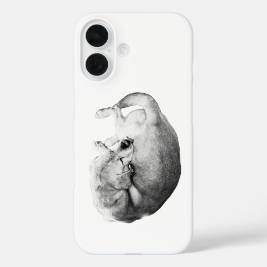 Naturschützer Case-Mate iPhone Hülle (Rückseite)