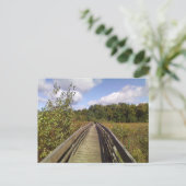 Naturschutzgebiet der Universität Binghamton Postkarte (Stehend Vorderseite)