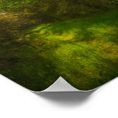 Naturschutzgebiet Grüne Bäume Waldlandschaft Weißr Poster (Ecke)