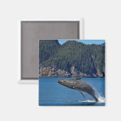 Naturschutzgebiet Humpback Foto Magnet (Vorderseite/Rückseite)