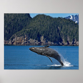 Naturschutzgebiet Humpback Foto Poster