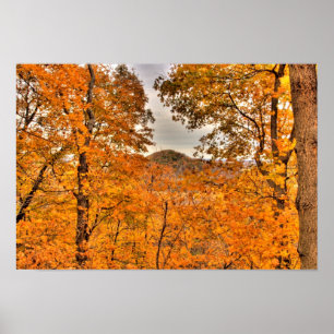 Naturschutzgebiet Shallenberger, Ohio Poster