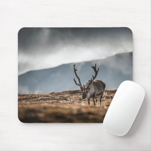 Naturschutzgebiet Svalbard Rentier Foto Mousepad (Mit Mouse)