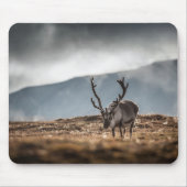 Naturschutzgebiet Svalbard Rentier Foto Mousepad (Vorne)