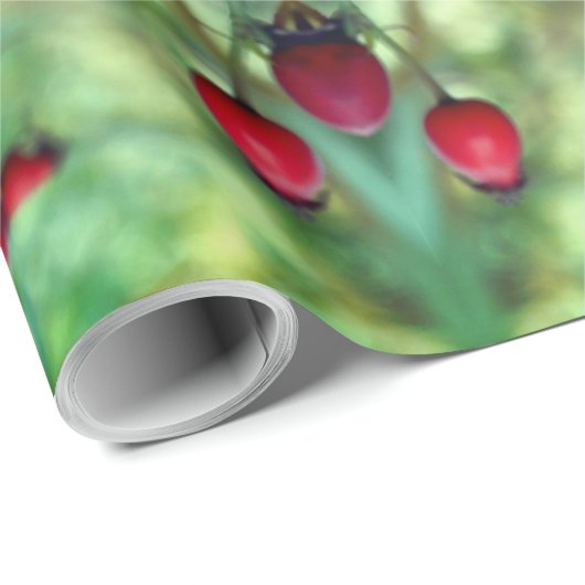 Naturschutzpapier Geschenkpapier (Rolleneckpunkt)