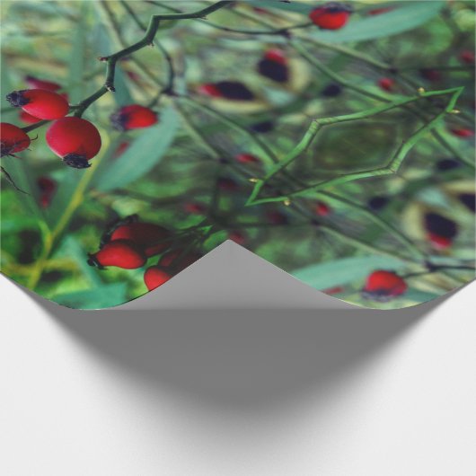 Naturschutzpapier Geschenkpapier (Ecke)