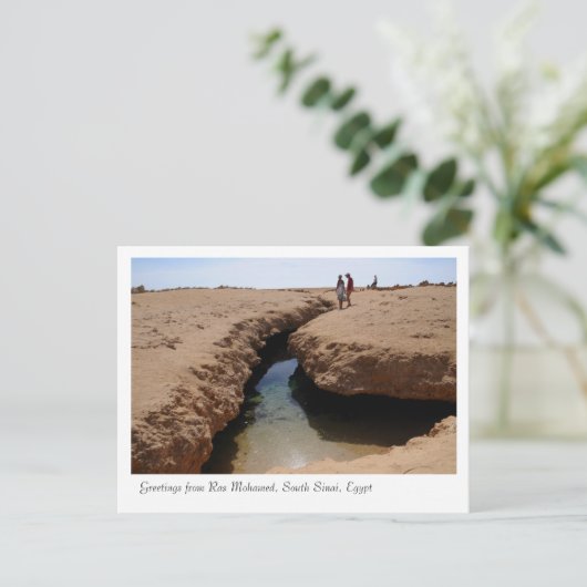 Naturschutzpark Ras Mohamed, Sinai, Ägypten Postkarte (Stehend Vorderseite)