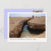Naturschutzpark Ras Mohamed, Sinai, Ägypten Postkarte (Vorne/Hinten)