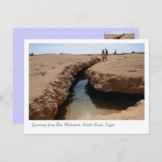 Naturschutzpark Ras Mohamed, Sinai, Ägypten Postkarte (Vorne/Hinten)